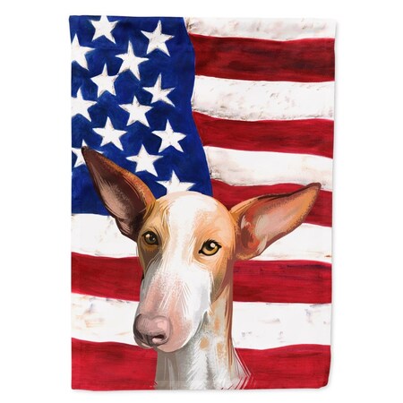 Carolines Treasures Podenco Canario Dog American Canvas House Flag - 28 x 0.01 x 40 in. CK6648CHF